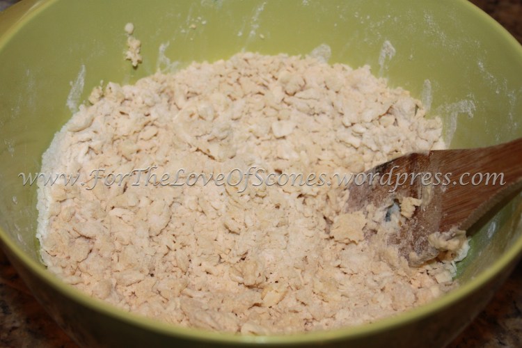 After adding the Greek yogurt mixture, you should have a dry-ish mixture  that does not stick together yet.