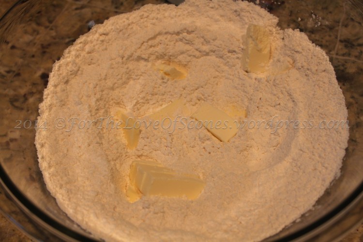 Add the butter and mix well with a pastry blender or your fingertips.