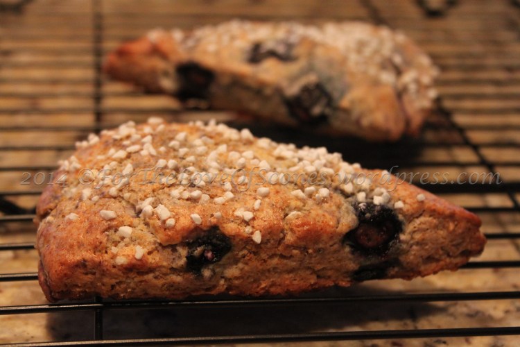 Have you seen anything more delicious?